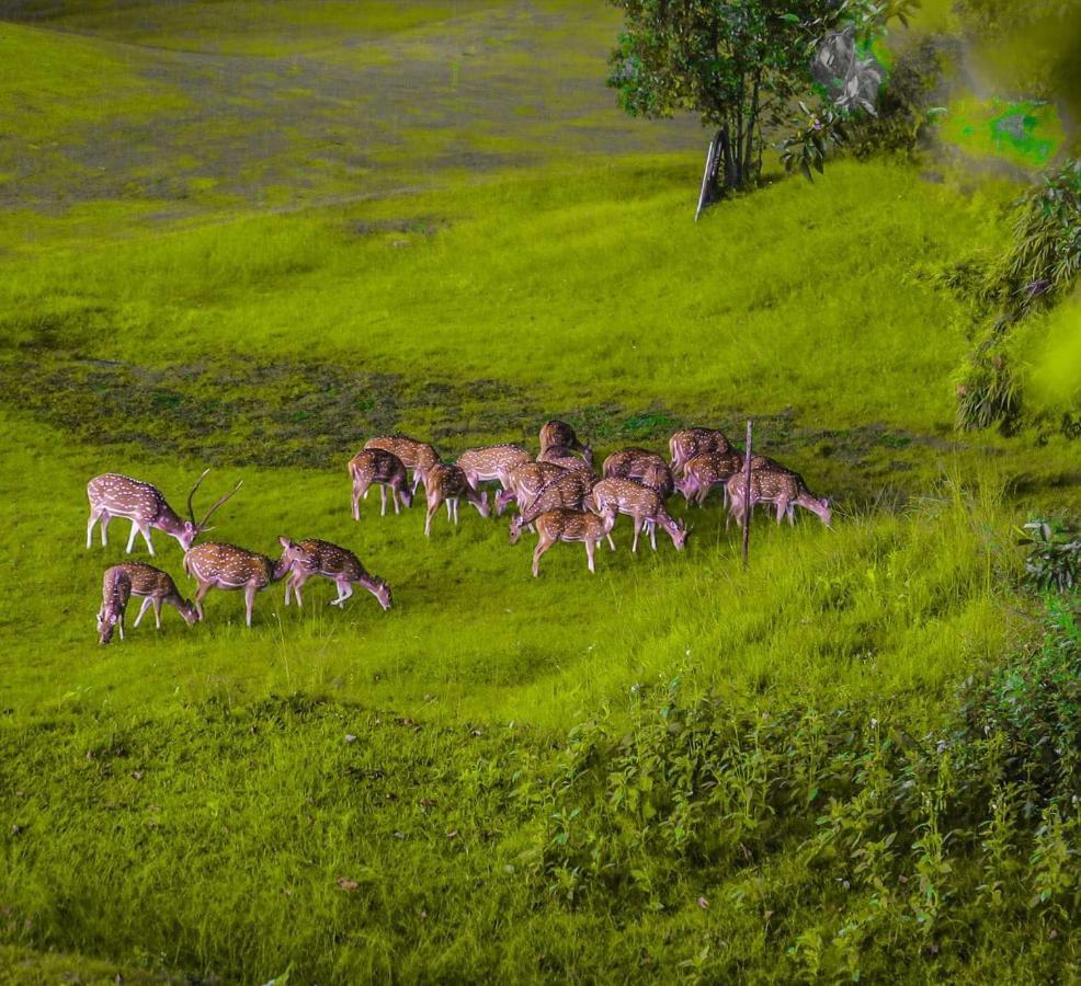 Gokarna Forest Resort Kathmandu Exterior photo